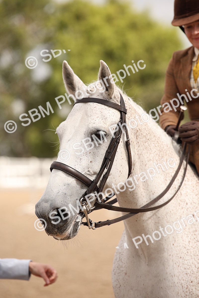 SBM_05429 - Class 22 SSA Equitation