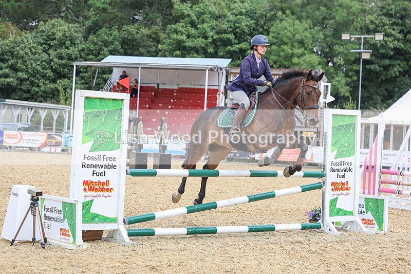 3E7A4646 - Class 4: Senior British Novice/90cm open