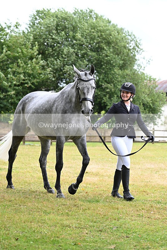 WJ7_6071 - Class 4a Prettiest Mare over 14hh