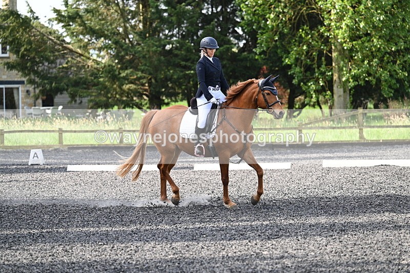 WJ7_7924 - Time 10:11 to 10:27