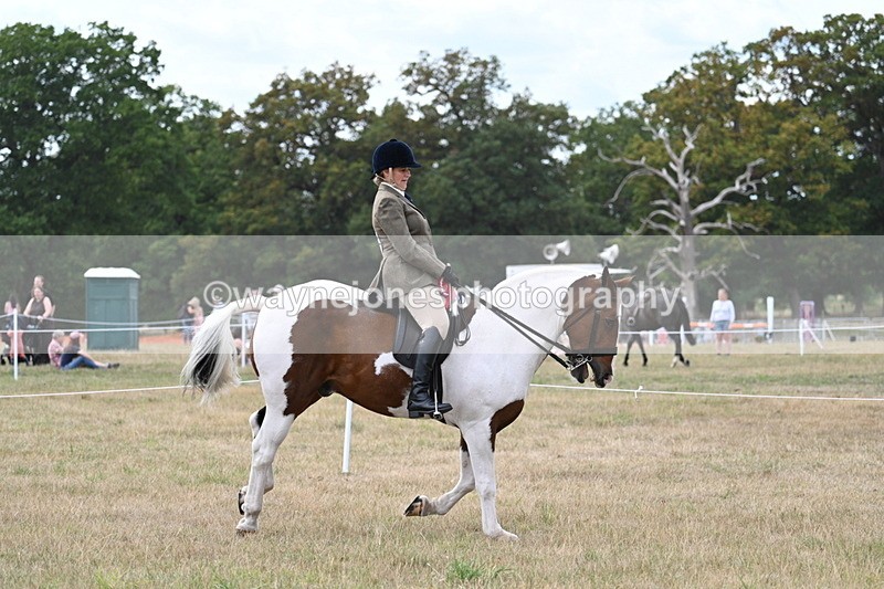 WJ7_5650 - Class 12 Ridden Cob