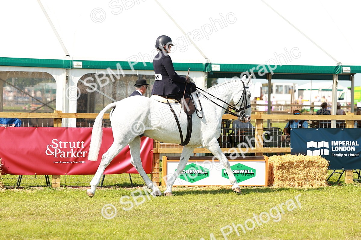 SBM_13111 - Class 70-71 - Side Saddle