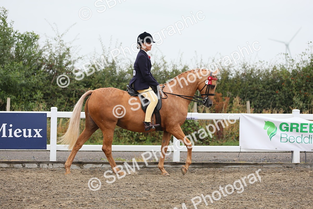 SBM_22276 - Class 807 - Young Rider 11 to 16 Yrs