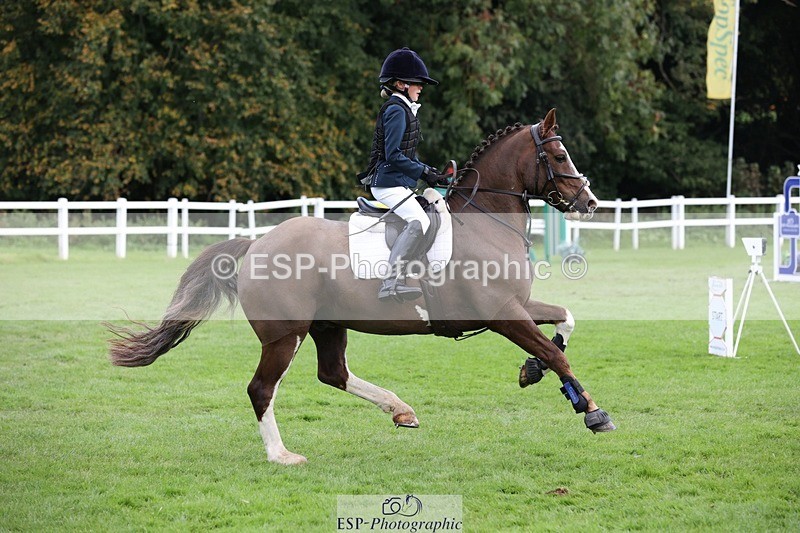 231022-132414-27689 - 432-DALEY-Oona.Gowan-TrotUp+SJ