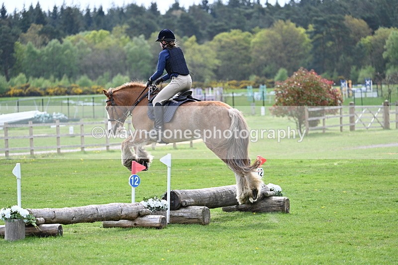 WJ7_6419 - 60cm Time 11:12 to 11:36