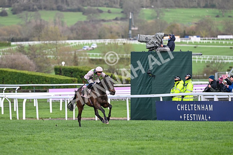 130326-Race 5-Gaelic Warrior-2595 - 13th March