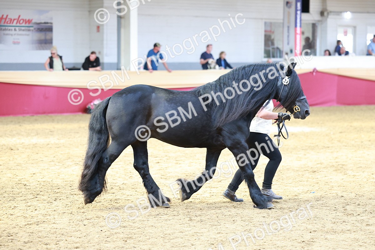 SBM_17503 - Class 951 - M&M IH Supreme Final