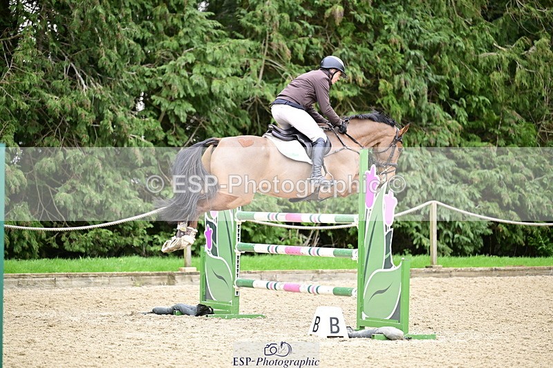 260214A-162935-01446 - 6 Foxhunter and 1m 20 Open