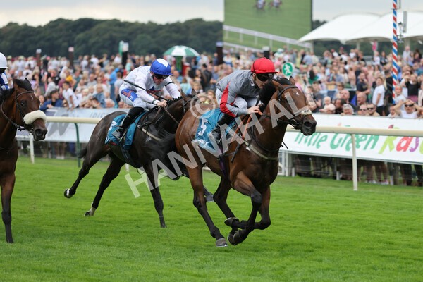 yr04092022r1-25 - Race 1 1.45pm IRE Incentive, It Pays To Buy Irish EBF Novice Stakes