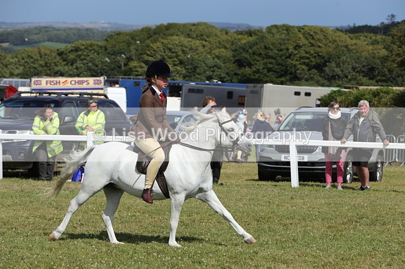 1X9A5756 - Class 40: NPS Welsh A & B