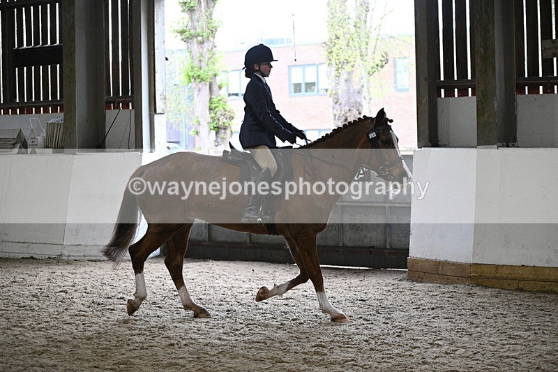 WJ7_3776 - Class 17 Ridden Cob