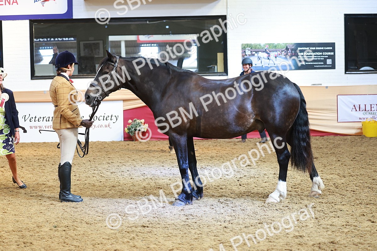 SBM_10714 - Class 103 - HOYS Veteran Qualifier - Ridden Pre Vet