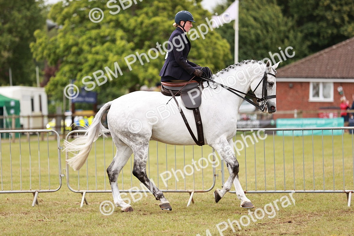 SBM_10972 - Class 81-84 - RIHS Ridden hunters Inc Ladies Hunter
