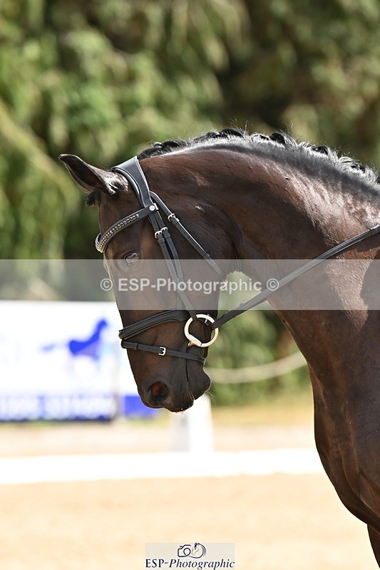 250808A-143913-00953 - 032-Caitlin.BurgessFurst.Sandreo.MFS