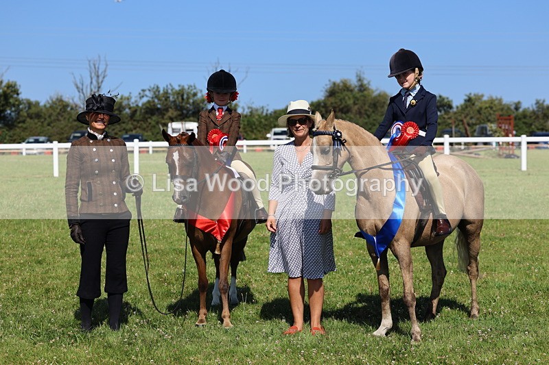 IMG_1864 - Plaited Mini Ridden Championship