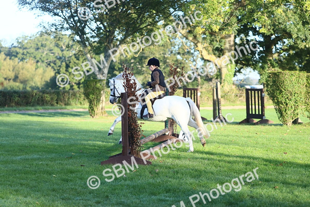 SBM_31793 - S28 - Nursery Stakes Working Hunter Pony