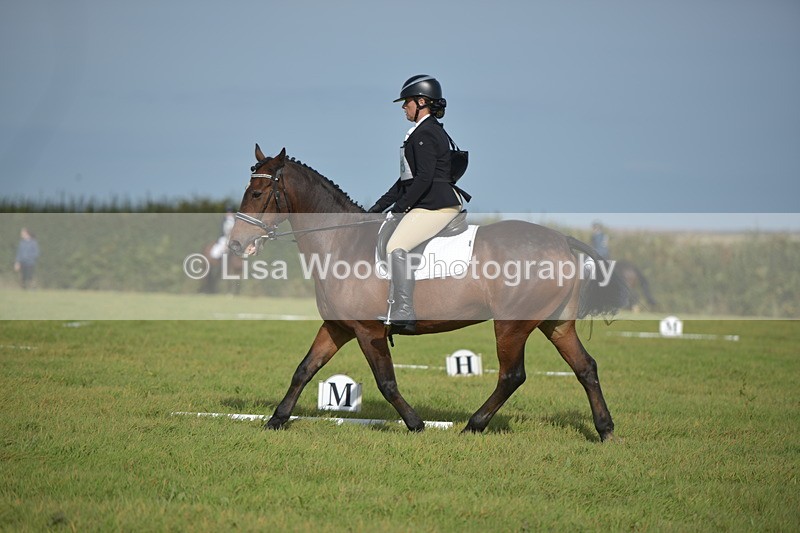 RAY_7733 - Class 2B: Trekenning Open: Dressage