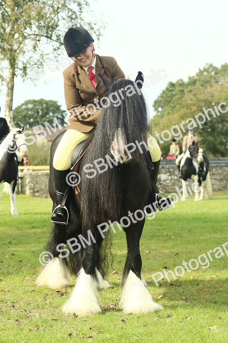 SBM_66733 - S34 - Rehabilitated Rescue Horse & Pony In Hand & Ridden