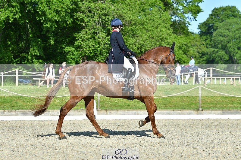 230525-090302-03674 - 401-BLING-Laura_Collett-DR