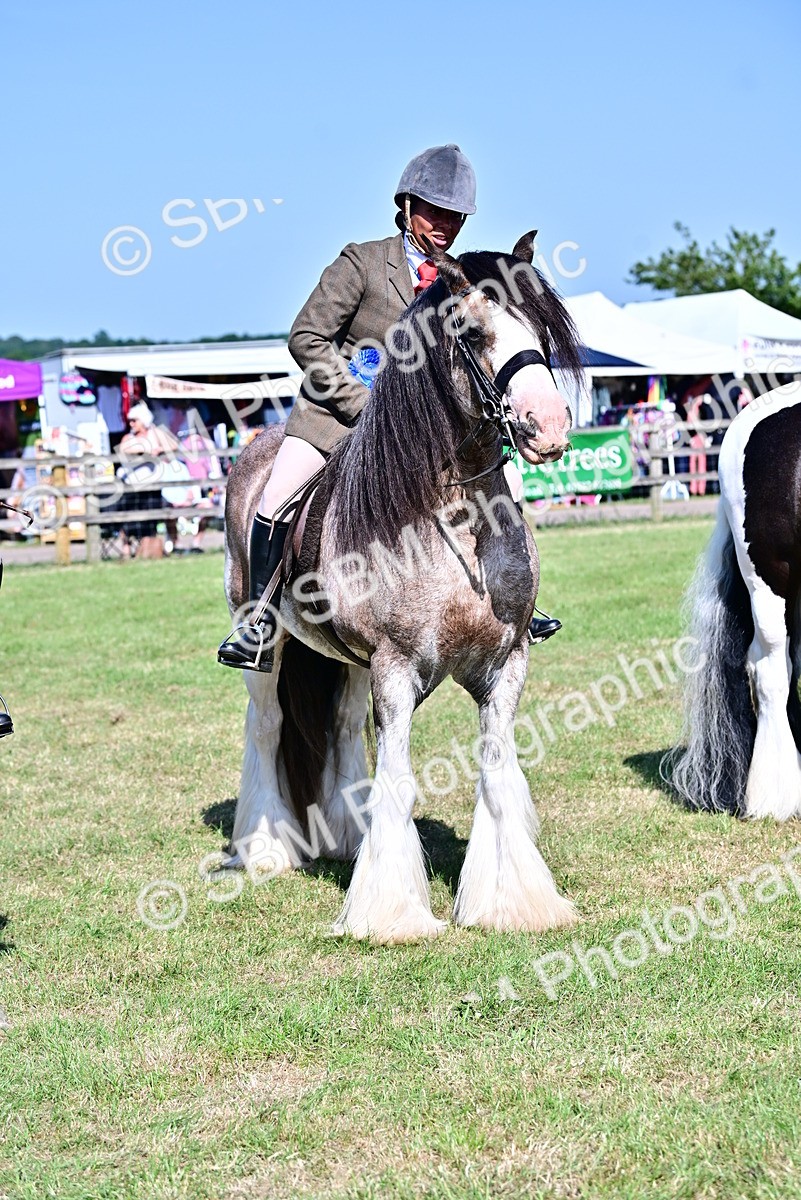 SBM_19457 - Class 101-102 - BSPS LIHS Performance Coloured Horse/Pony