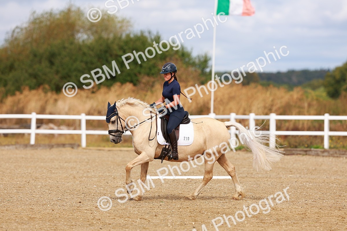 SBM_009781