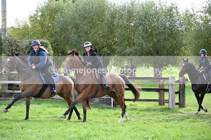 WJ6_4804 - Time 15:01 to 15:34