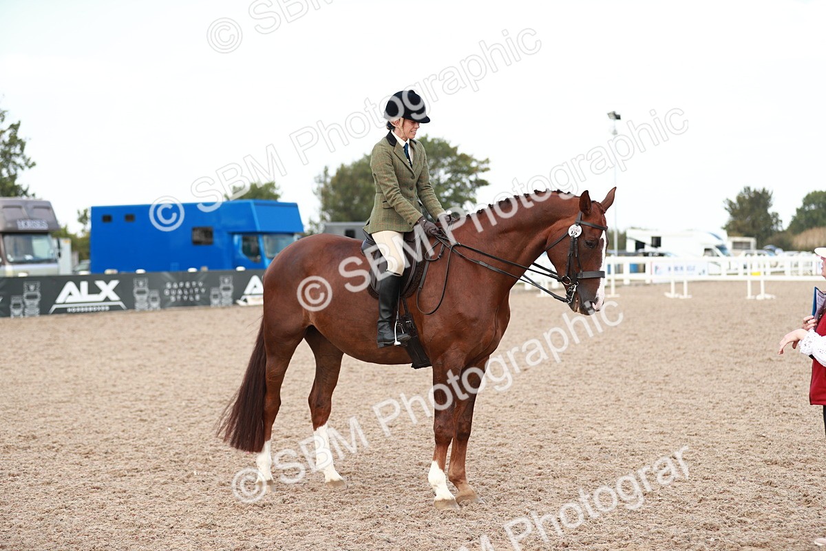 SBM_15509 - Class 213 Ridden Hunter -Large
