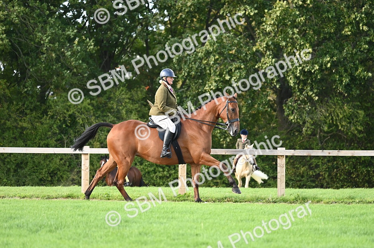 SBM_26423 - S6 - Novice & newcomer Ridden horse