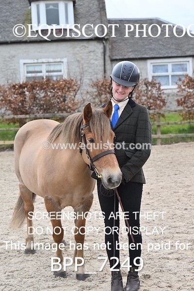 BPP_7249 - RING 1  (RIDDEN HORSES / IN HAND / VETERAN ETC)