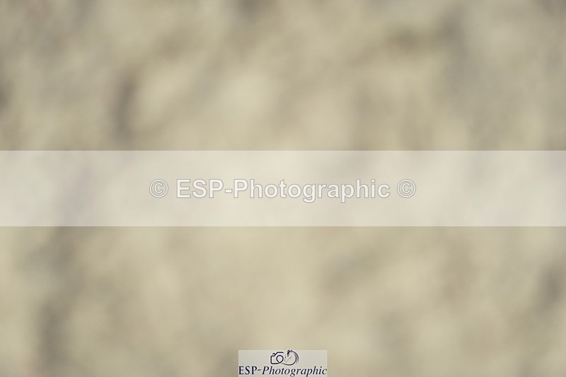 230909-125856-05874 - Cls 17 Snr 1.05m Open