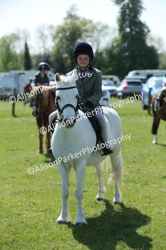 20250427-2678 - Class 6 - Pony Judge Would Most Like To Take Home