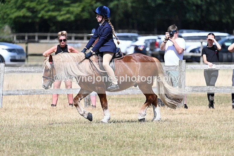 WJ7_3389 - Class 8 Ridden Veterans