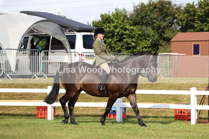 3E7A8454 - Class 3: Rising Star S/L Hunter