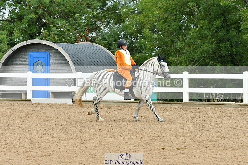 230804A-105854-01784 - Musical Ride