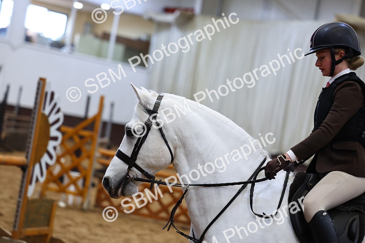 SBM_006487 - Class 43 - RIHS Qualifier Exceeding 43cms