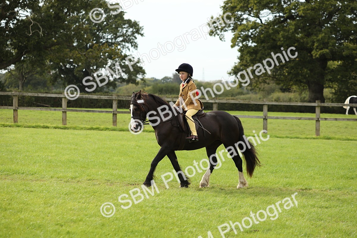 SBM_71512 - S41 - Ridden Equitation (Best Rider)