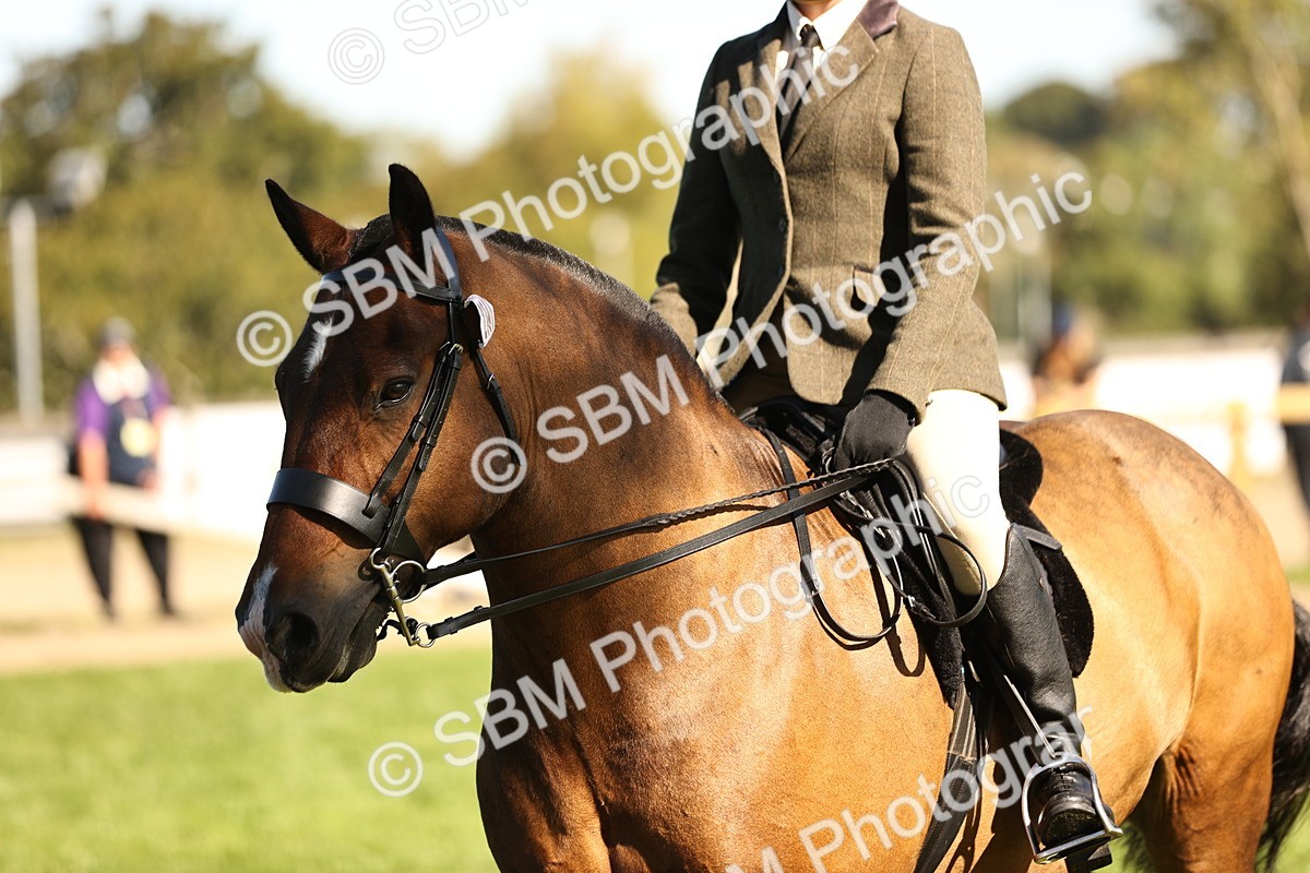 SBM_19121 - S3 - TSR Ridden Pony Showing