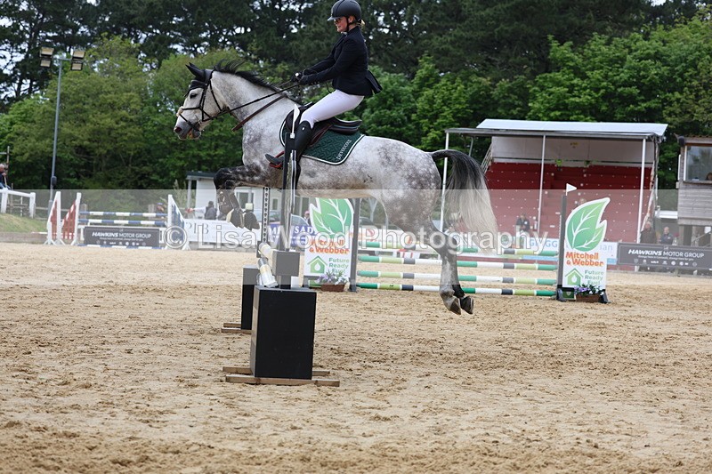 3E7A6419 - Class 4: Senior British Novice/90cm open