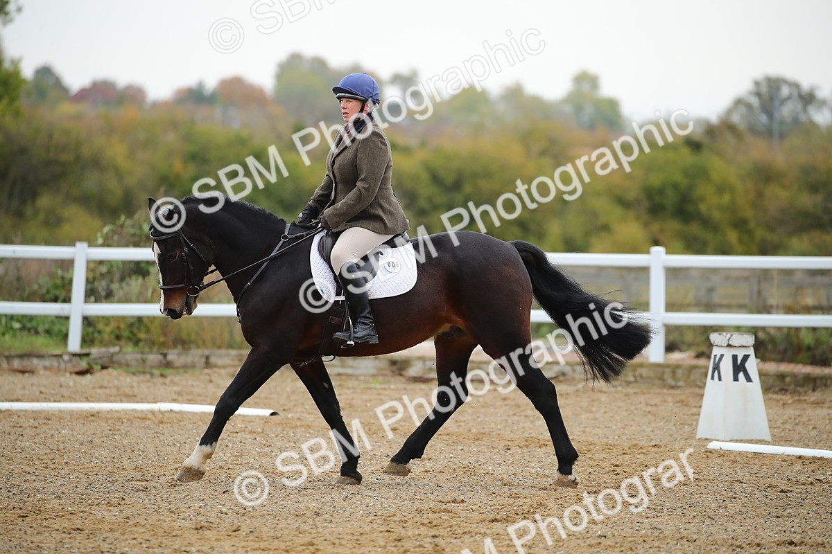 SBM_000273 - Intro 1