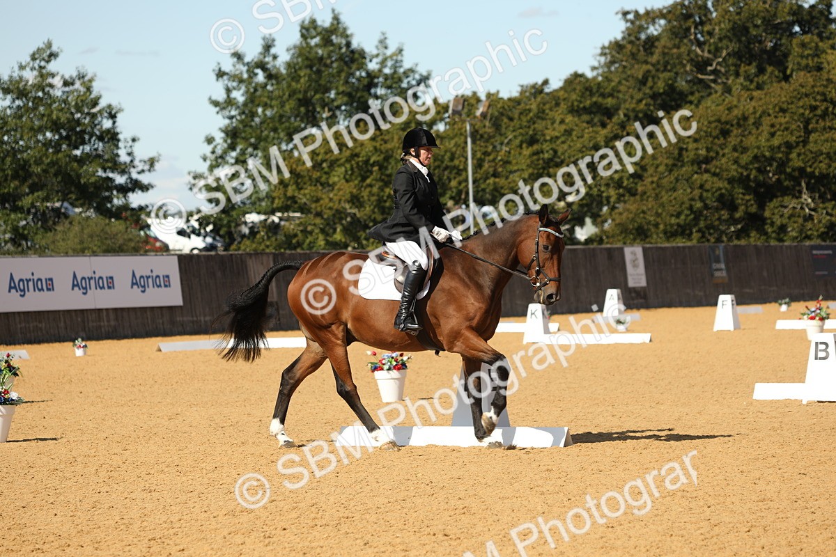 SBM_24448 - D17 - Grand Tour Championship - Novice 27