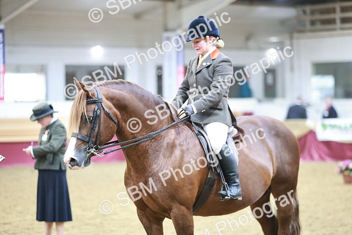 SBM_08919 - Class 12R - Regional Ridden Pre-Vet