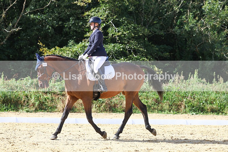 3E7A2561 - Class 1: Intro 4 2024 section A