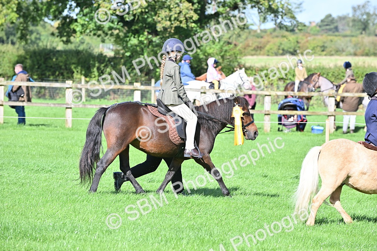 SBM_37487 - S18 - Novice & Newcomer Lead Rein Pony