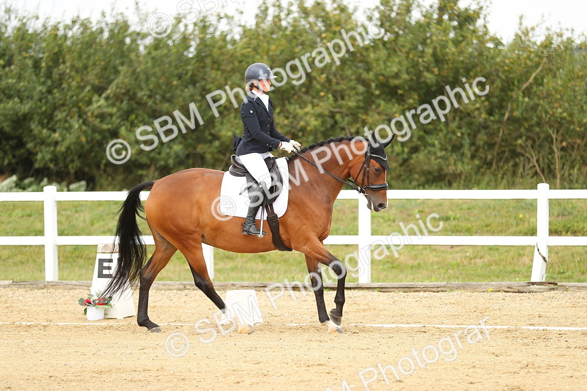 SBM_017890 - Class 14 - Novice 23 - 15.16-16.19