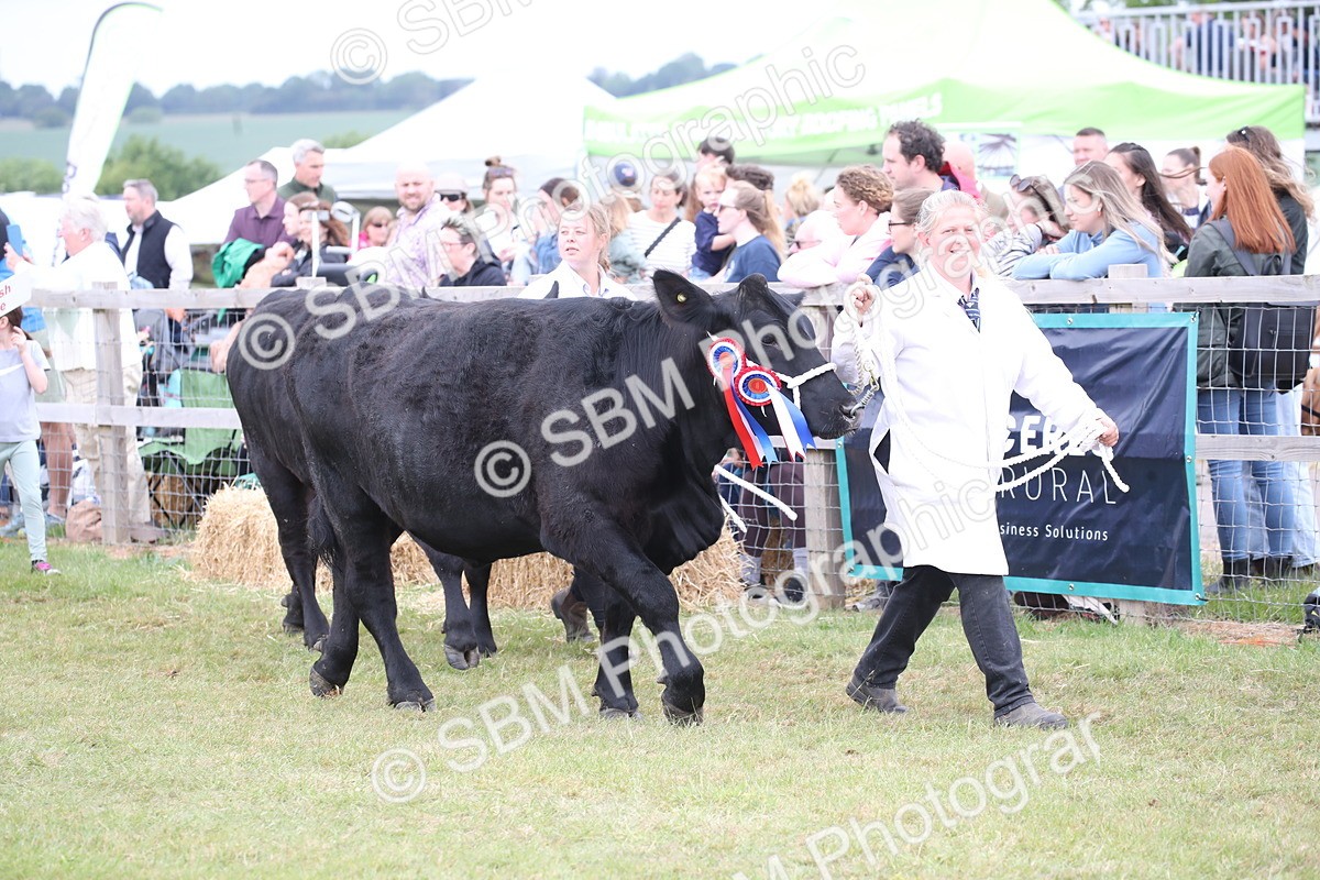 SBM_07817 - Grand Parade