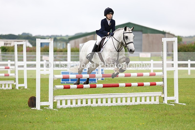 3E7A6604 - Class 9: Pony Discovery/90cm open
