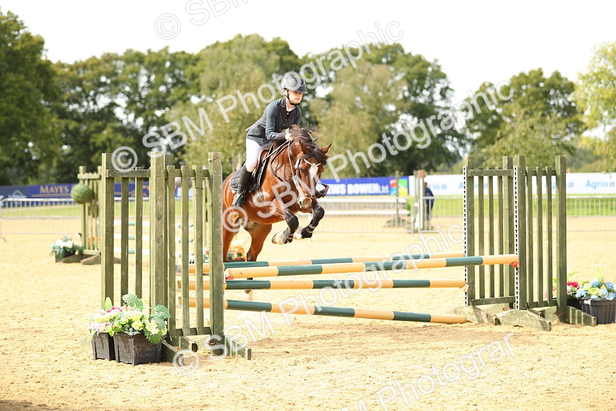 SBM_67172 - J17 - Junior Pony 80cm Championship