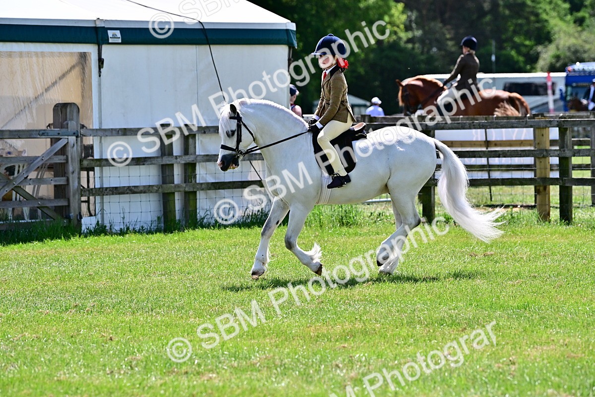 SBM_06079 - Class 59-60 - TSR M&M  Lear Rein and First Ridden Amateur of the year