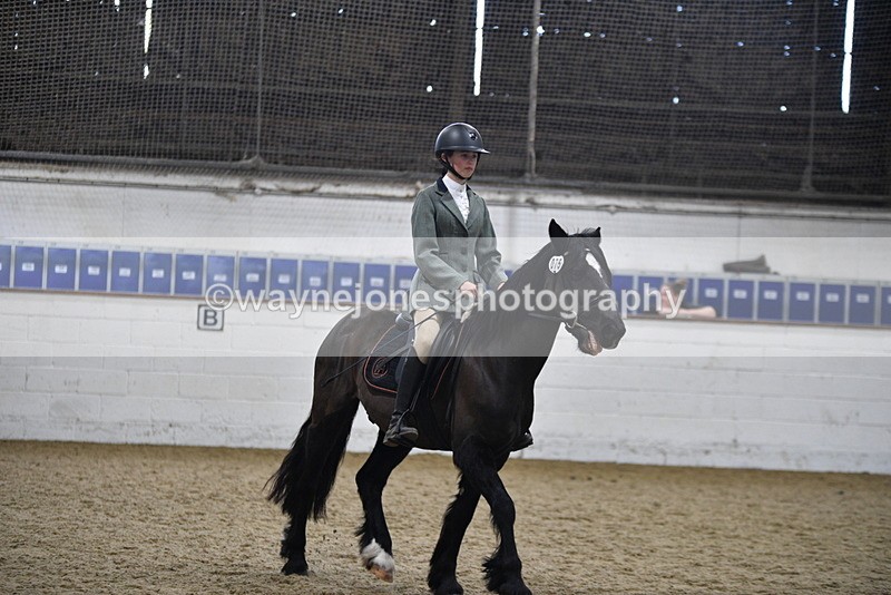 WJ5_7872 - Class 13 Ridden Part Breed