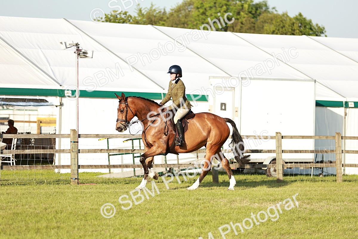SBM_20477 - Class 117-119 - Sport Horse Working Hunter